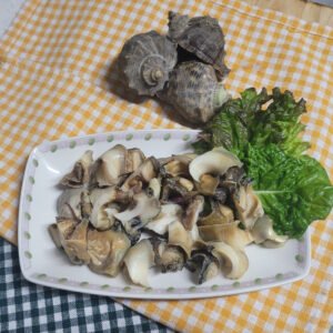 Conch